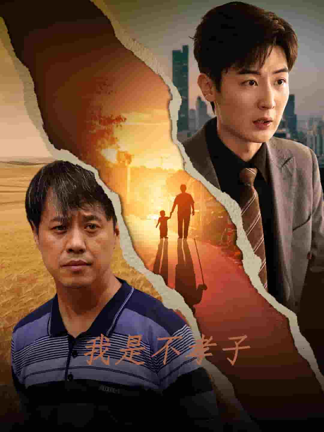 我是不孝子海报